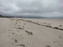Plage Collignon